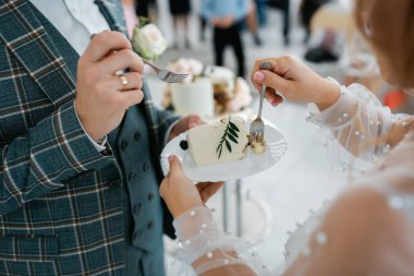 Düğün pastası. Tarz sahibi mutlu yeni evliler, zarif ve memnun bir gelin. Yeni evliler toplanıyor.