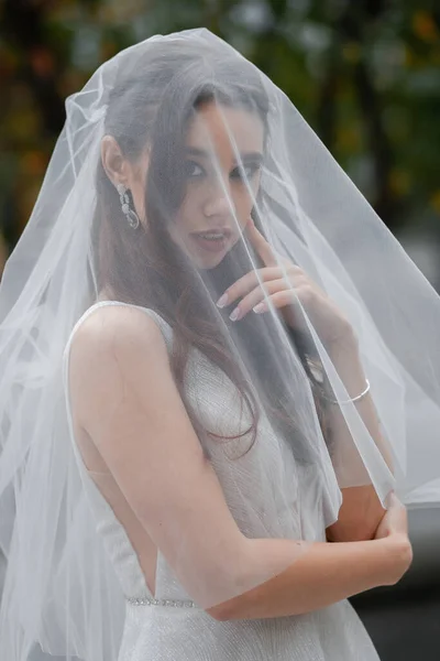 Joven Pareja Alegre Boda Una Novia Con Velo Novio Encantador —  Fotos de Stock