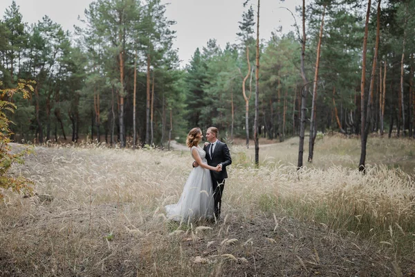 Coppia Sposi Nel Parco Una Sposa Elegante Aspetto Europeo Uno — Foto Stock