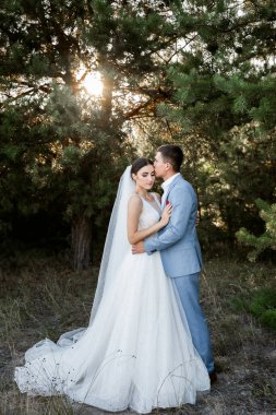 Ormanda yürüyüş için sevgili evlilik çifti. Gelinin güzel uzun bir duvağı ve siyah saçları var. Güneşli yaz günü
