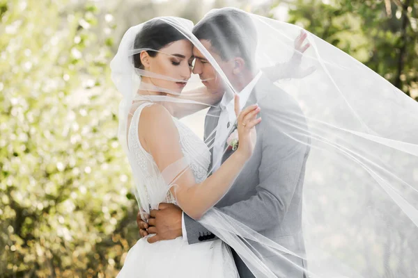 Casal Amor Floresta Para Uma Caminhada Noiva Tem Lindo Véu — Fotografia de Stock