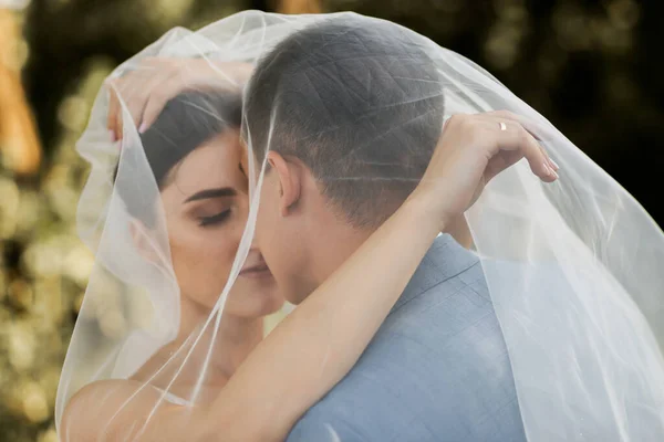 Casal Amor Floresta Para Uma Caminhada Noiva Tem Lindo Véu — Fotografia de Stock