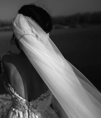 Mutlu gelin ve damat gülüyor ve öpüşüyor. Neşeli, zarif gelin pencerenin yanında. Uzun trenli uzun bir elbise..