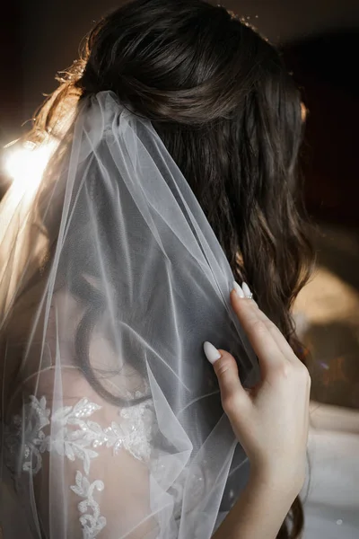 Charmante Glückliche Braut Mit Langem Schleier Hintergrundbeleuchtung Einem Dunklen Raum — Stockfoto