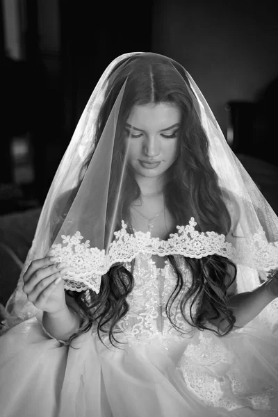 Charming Happy Bride Long Veil Backlight Dark Room — Stockfoto