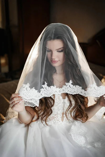 Charming Happy Bride Long Veil Backlight Dark Room — Stockfoto