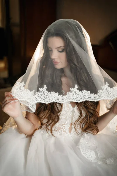 Charming Happy Bride Long Veil Backlight Dark Room — Stockfoto