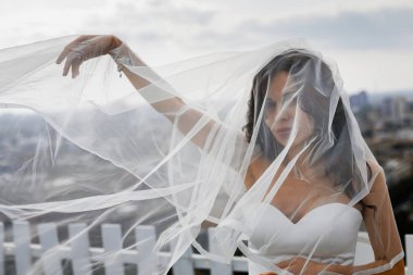 Uzun bir evin çatısında duvağı olan şık, nazik bir gelin. Gökdelenleri ve iş merkezleri olan güzel bir şehir manzarası açılıyor..