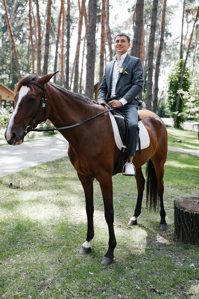 Groom Blue Suit Brown Horse Woods Fooling — Stock fotografie