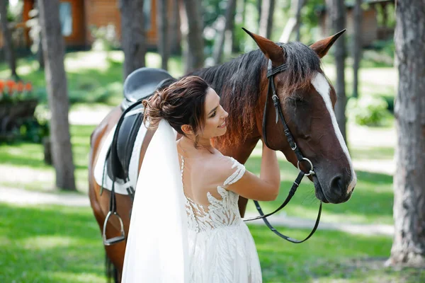 Young Married Couple Love Walk Woods Brown Horse — Stockfoto