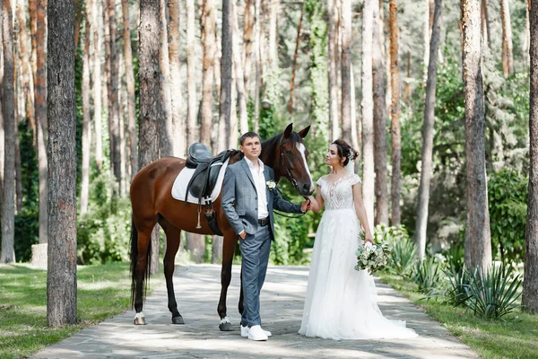 Giovane Coppia Sposi Nel Parco Con Cavallo Marrone Una Passeggiata — Foto Stock