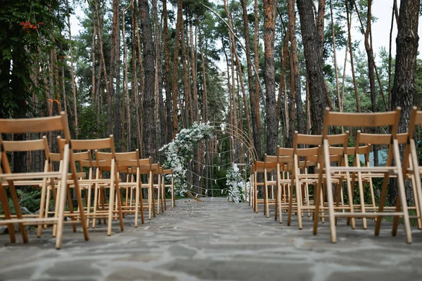 Wooden Chairs Outdoor Pine Forest Wedding Ceremony — Stock Photo, Image
