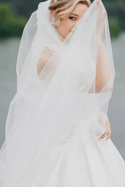 Bezaubernde Blonde Braut Einem Brautkleid Mit Langem Schleier Ein Diadem — Stockfoto