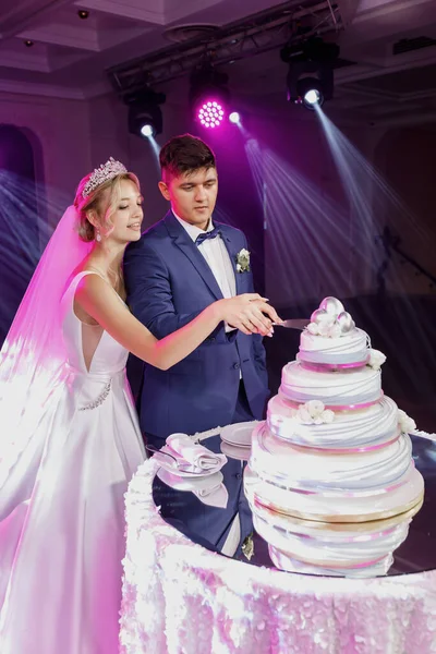 Casal Casamentos Cortar Bolo Casamento Grande Luzes Cor Rosa Fogos — Fotografia de Stock