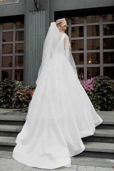 Eine Stilvolle Braut Mit Einem Langen Eleganten Schleier Auf Einer — Stockfoto