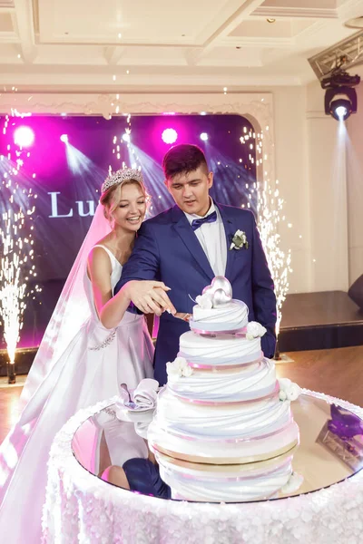 結婚式のカップルは大きな結婚式のケーキを切る ピンクライト お祝い花火 — ストック写真