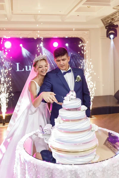 Una Pareja Boda Cortando Gran Pastel Bodas Luces Rosadas Fuegos — Foto de Stock