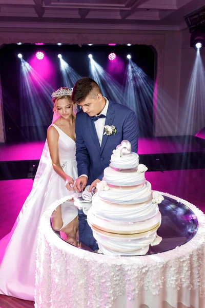 一对新婚夫妇在切一个大的结婚蛋糕 粉色灯 节日烟火 — 图库照片