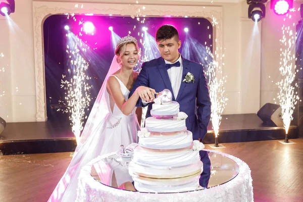 Una Pareja Boda Cortando Gran Pastel Bodas Luces Rosadas Fuegos — Foto de Stock