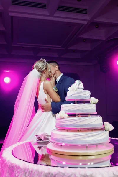 Una Pareja Boda Cortando Gran Pastel Bodas Luces Rosadas Fuegos —  Fotos de Stock