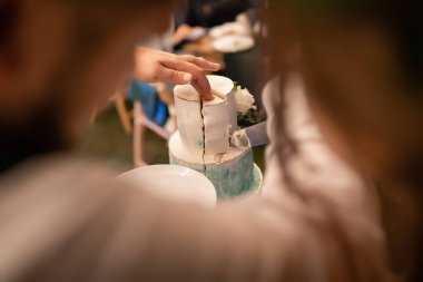 Düğün pastasını kesiyorum. Şişman insanlar, yürüyüş yapan bir çift. Zarif bir gelin, yeşil takım elbiseli bir damat. Güzel park