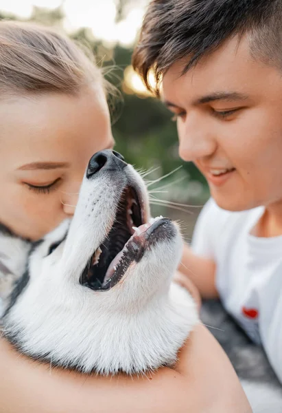 Cão Engraçado Divertido Jovem Casal Amoroso Alegre Belo Parque Vista — Fotografia de Stock