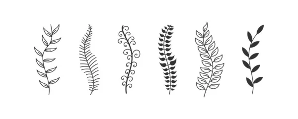 Ozdoby doodle strony rysowane szczotką do pióra. — Zdjęcie stockowe