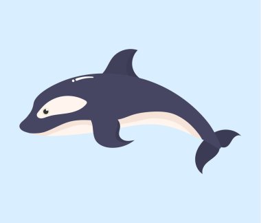 Okyanus hayvanlarını, sualtı canlılarını, deniz balıklarını.