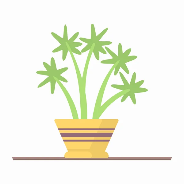 Σετ φυτών σπιτιού στα ράφια, γλάστρα κήπου. — Διανυσματικό Αρχείο