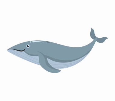 Okyanus hayvanlarını, sualtı canlılarını, deniz balıklarını.