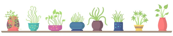 Set of house plants on shelves, garden flower pot. — Stock Vector