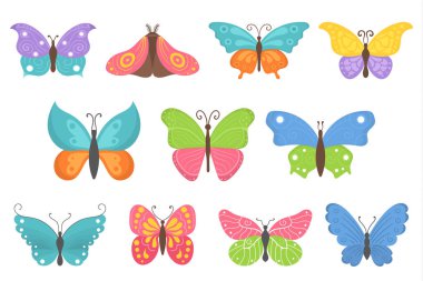 Renkli uçan böcekler, yaz kelebekleri düzleştir