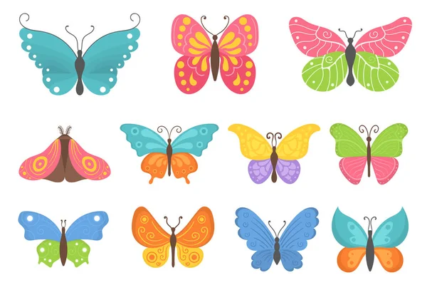 Set colorful flying insects, summer butterfly flat — Stock Vector