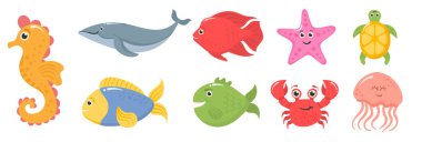 Okyanus hayvanlarını, sualtı canlılarını, deniz balıklarını.