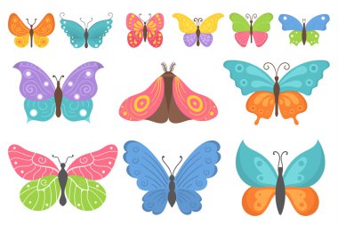 Renkli uçan böcekler, yaz kelebekleri düzleştir