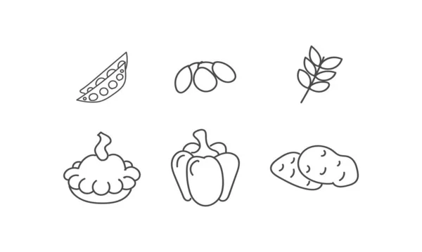 Set of flat vegetables in hand drawn doodle. — Stock Photo, Image