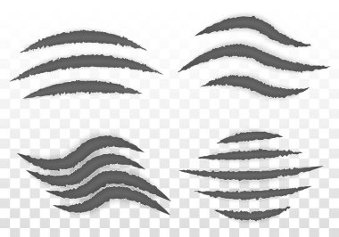 Pençe izleri, çizikler, yırtık hayvan pençesi izleri. Pençe siyah silueti çizer. Sanat tasarımı. Pençeler hayvan kedi, köpek, kaplan, aslan keser. Soyut konsept grafik öğesi. Vektör kurt adam sembolü