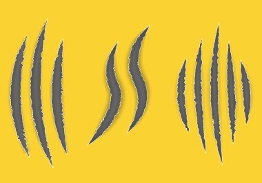 Pençe izleri, çizikler, yırtık hayvan pençesi izleri. Pençe siyah silueti çizer. Sanat tasarımı. Pençeler hayvan kedi, köpek, kaplan, aslan keser. Soyut konsept grafik öğesi. Vektör kurt adam sembolü