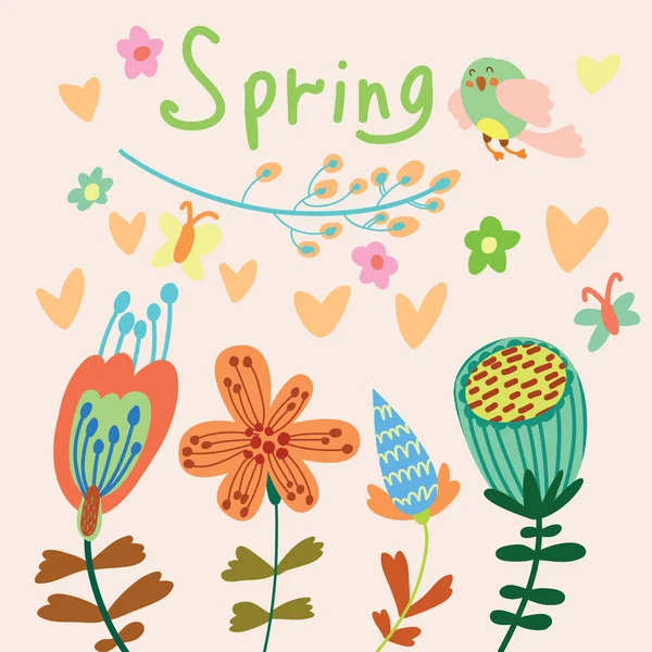 Spring flowers  background — Stock Photo, Image