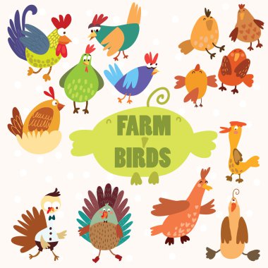 şirin çiftlik birds.turkey, tavuk, kaz, ördek