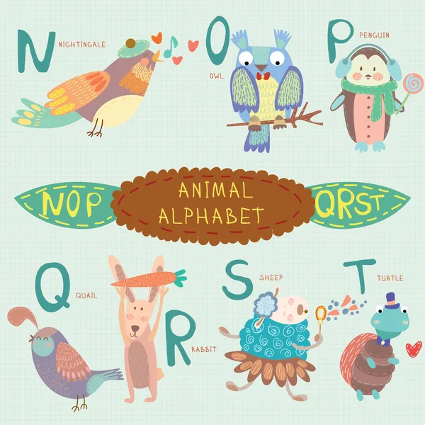 Çok şirin bir alfabe. n, o, p, q, r, s, t harfleri. — Stok Vektör