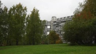 Yüksek binalar ve sonbahar manzarası. Şehirde altın sonbahar. Bir binanın arka planındaki ağaçtaki altın yapraklar. Aptal kamera.