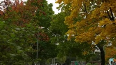 Yüksek binalar ve sonbahar manzarası. Şehirde altın sonbahar. Bir binanın arka planındaki ağaçtaki altın yapraklar. Aptal kamera.