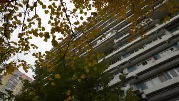 High-rise residential building and autumn landscape. Golden autumn in the city. Golden leaves on a tree on the background of a residential building. Dlolly camera — Stock Video