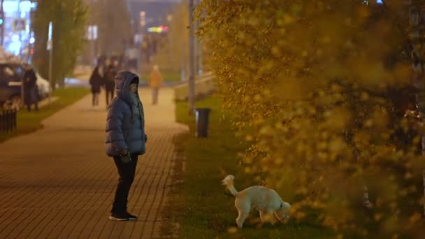 Una donna in autunno porta a spasso il cane di un barboncino bianco a Nighton sul sentiero. Mano nella mano — Video Stock