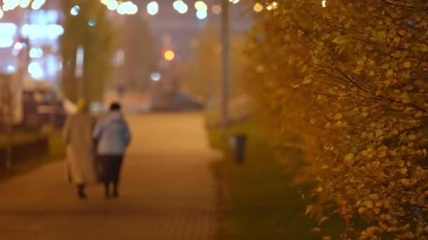 Goldene Blätter an den Zweigen vor dem Hintergrund der nächtlichen Stadt. Nahaufnahme — Stockvideo