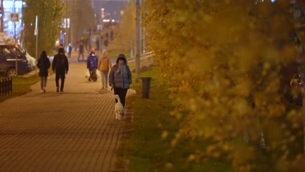 En kvinna på hösten promenerar hunden till en vit pudel på Nighton i stigen. Hand i hand — Stockvideo