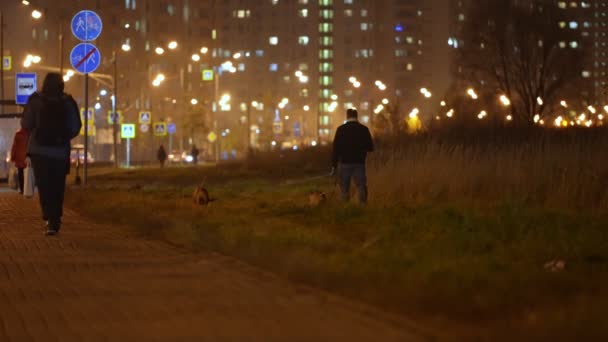 Un hombre pasea a dos perros de combate cerca de edificios residenciales por la noche en el otoño. De la mano. — Vídeos de Stock
