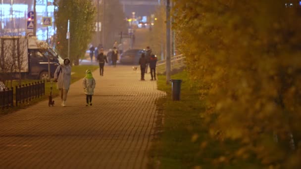 Een vrouw met een kind loopt 's avonds in de herfst langs het bier. Hand in hand — Stockvideo