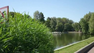 Covid-19 tecridi sırasında Moskova 'daki Gorky Park' ta bir gölet. Hareket halinde çekim